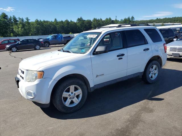 Ford Escape hyb (2011)