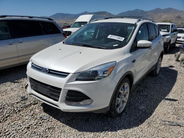 Ford Escape tit (2013)