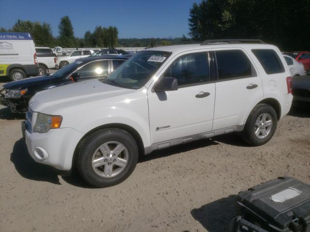 Ford Escape hyb (2009)