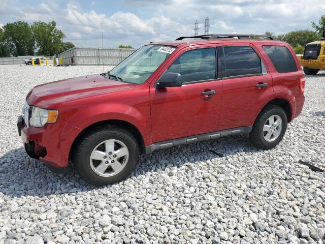 Ford Escape xlt (2009)