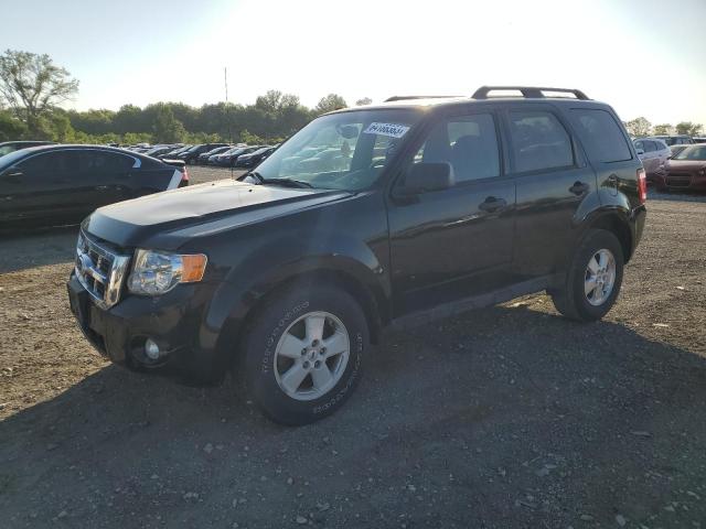 Ford Escape xlt (2011)