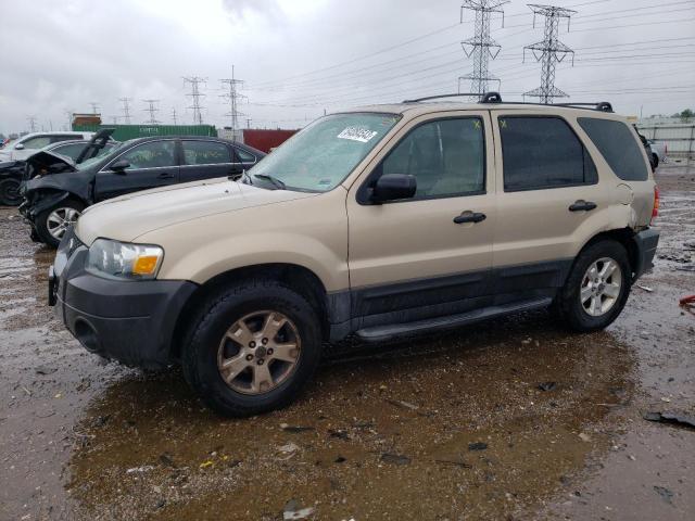 Ford Escape xlt (2007)