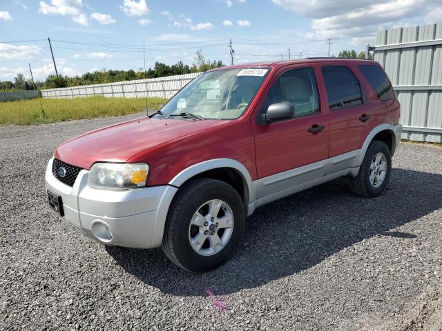 Ford Escape xlt (2007)