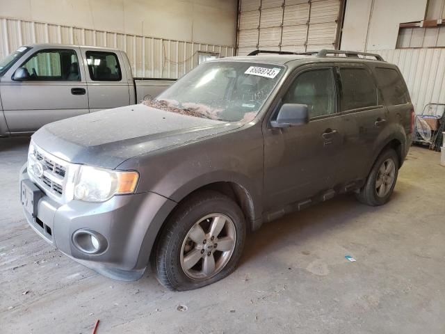 Ford Escape xlt (2009)