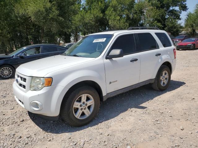 Ford Escape hyb (2009)