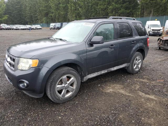Ford Escape xlt (2009)