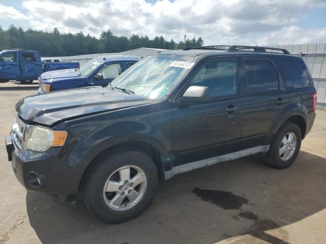Ford Escape xlt (2009)