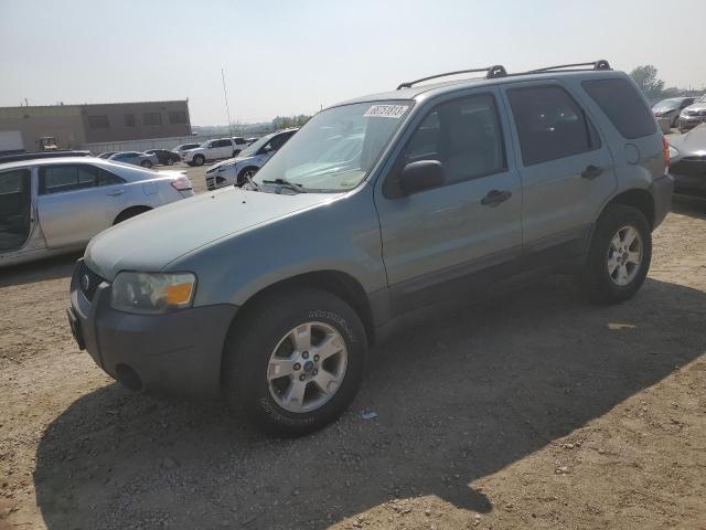 Ford Escape xlt (2007)