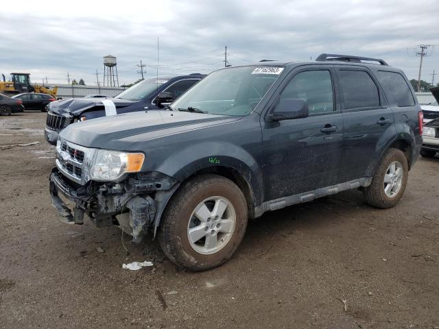 Ford Escape xlt (2009)