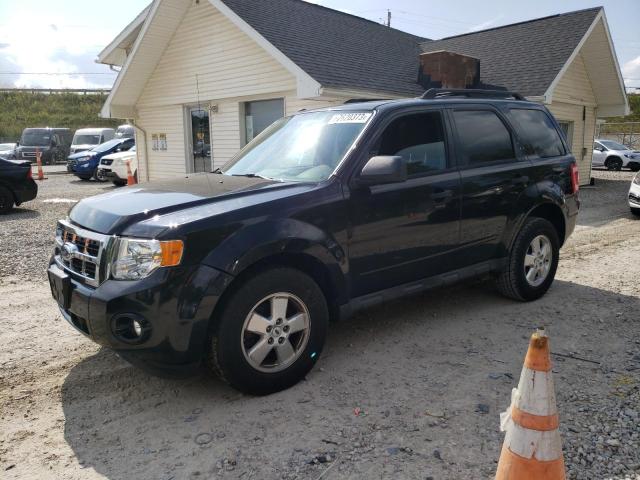 Ford Escape xlt (2009)