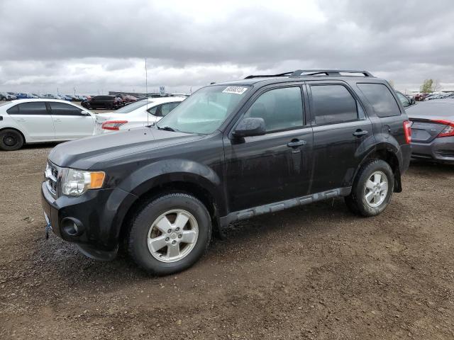 Ford Escape xlt (2012)