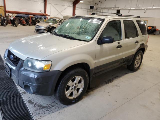 Ford Escape xlt (2005)