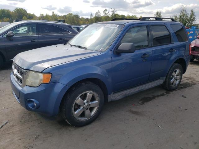 Ford Escape xlt (2009)