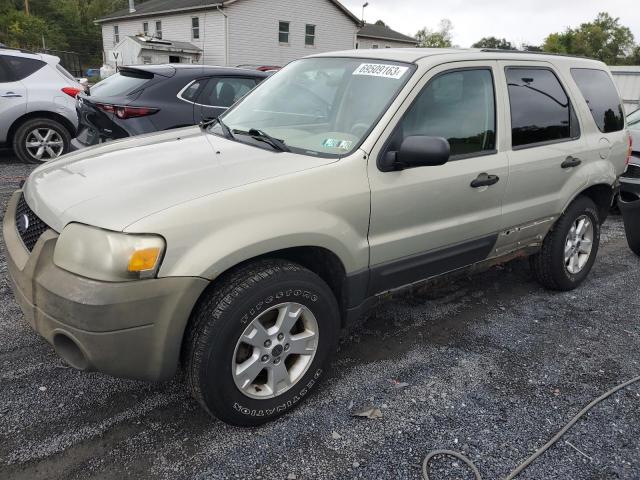 Ford Escape xlt (2005)