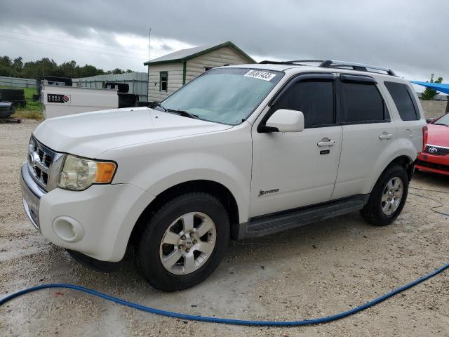 Ford Escape hyb (2009)
