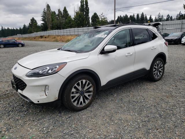 Ford Escape tit (2020)