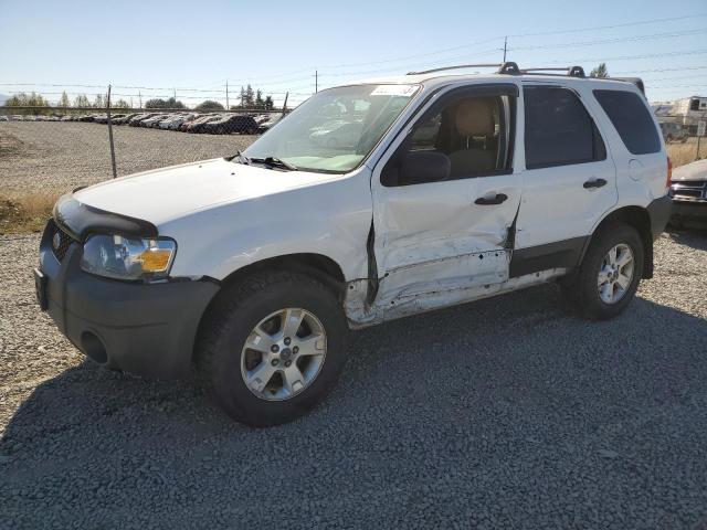 Ford Escape xlt (2005)