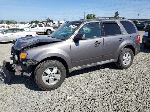 Ford Escape xlt (2009)
