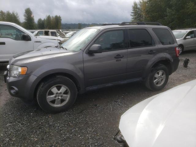 Ford Escape xlt (2011)