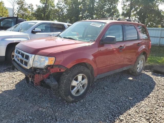 Ford Escape xlt (2011)