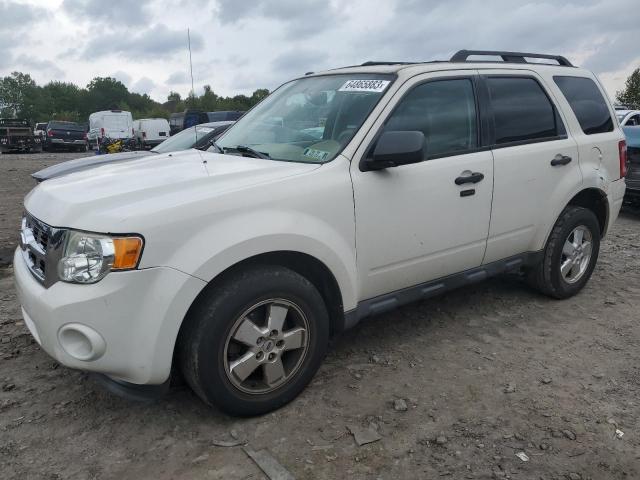 Ford Escape xlt (2011)
