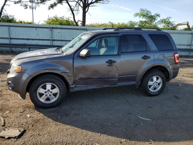 Ford Escape xlt (2011)