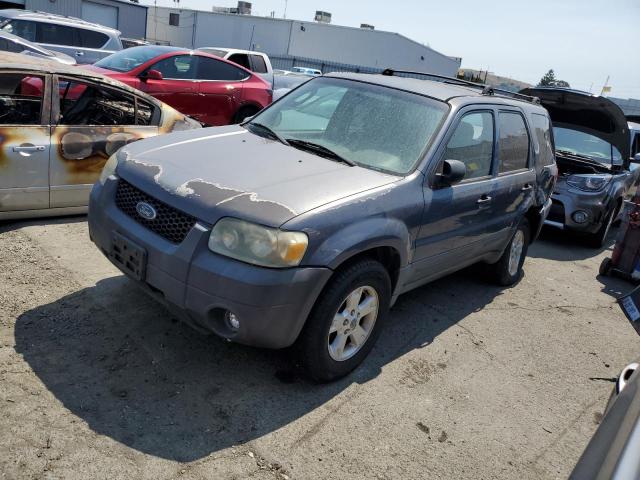 Ford Escape xlt (2005)