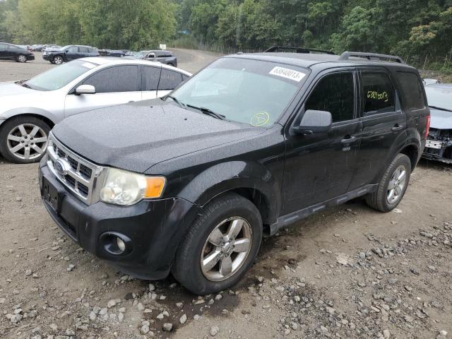 Ford Escape xlt (2009)