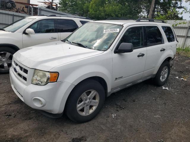 Ford Escape hyb (2009)
