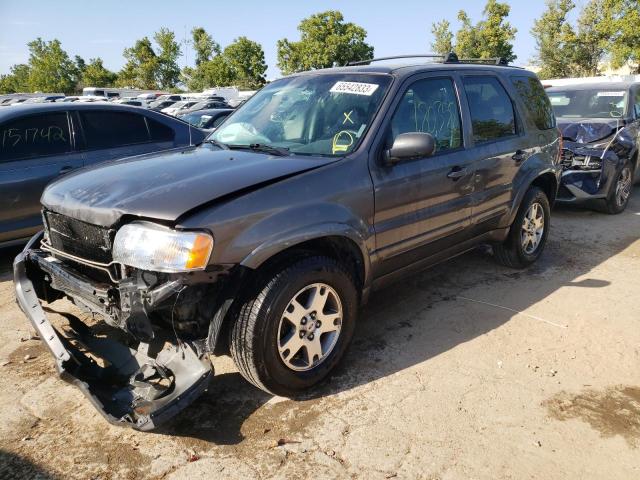Ford Escape lim (2004)