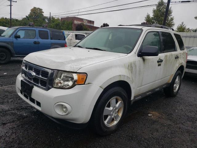 Ford Escape xlt (2009)