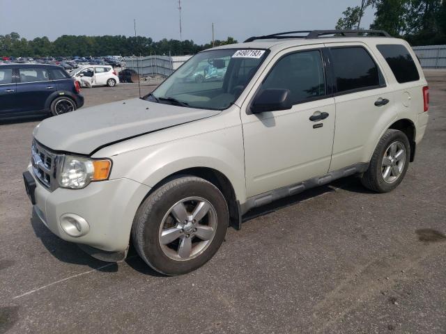 Ford Escape xlt (2009)