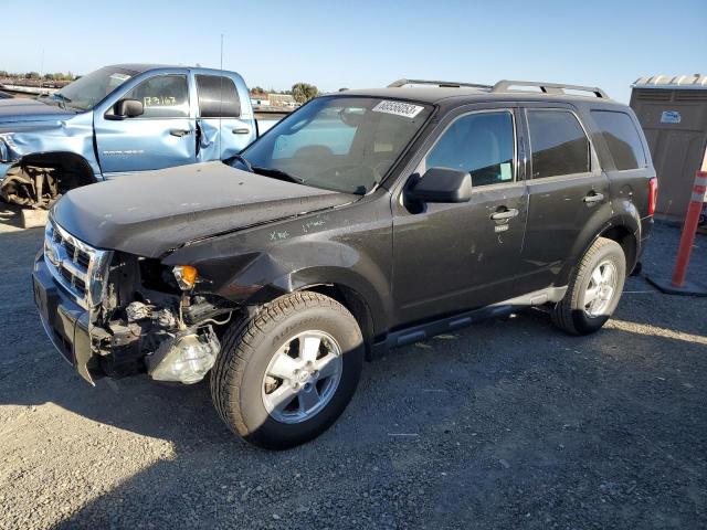 Ford Escape xlt (2011)