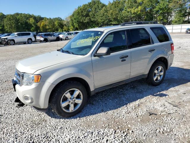 Ford Escape xlt (2009)