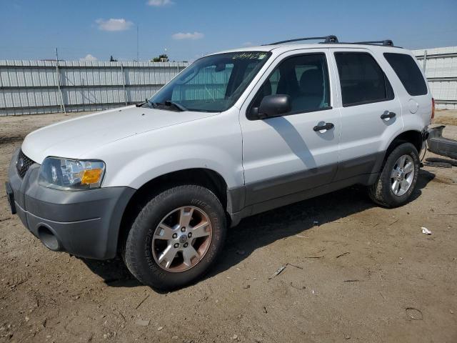 Ford Escape xlt (2005)