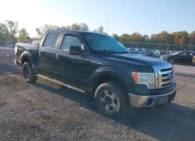 Ford F-150 (2010)