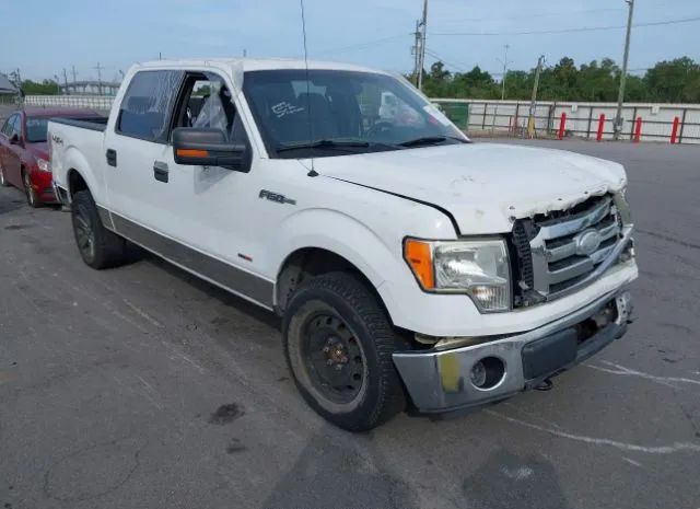 Ford F-150 (2011)