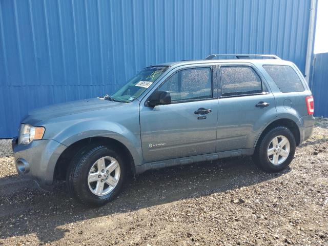 Ford Escape hyb (2011)