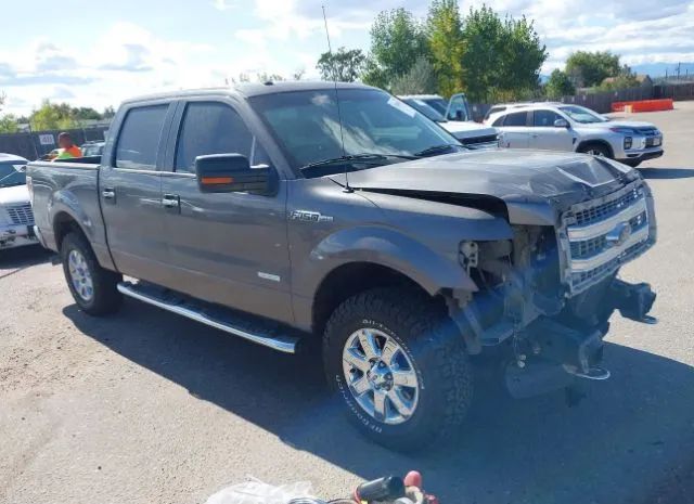 Ford F-150 (2013)