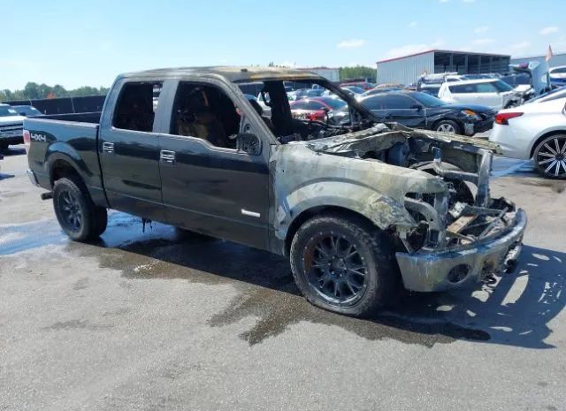 Ford F-150 (2013)