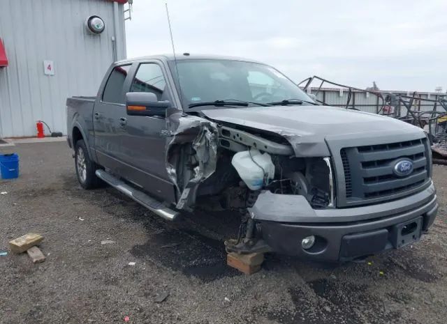 Ford F-150 (2010)