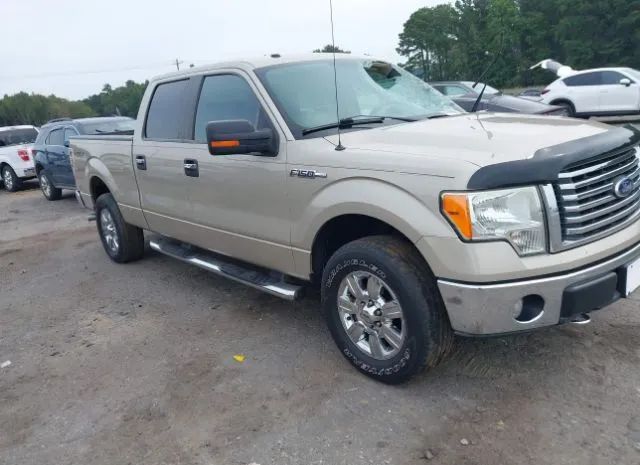 Ford F-150 (2010)