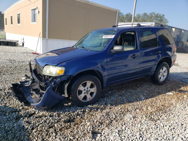 Ford Escape xlt (2007)