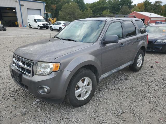 Ford Escape xlt (2009)