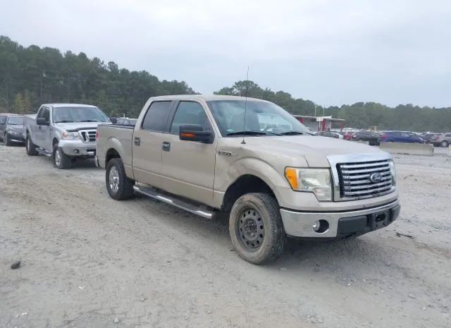 Ford F-150 (2010)