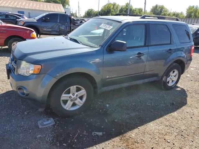 Ford Escape hyb (2011)