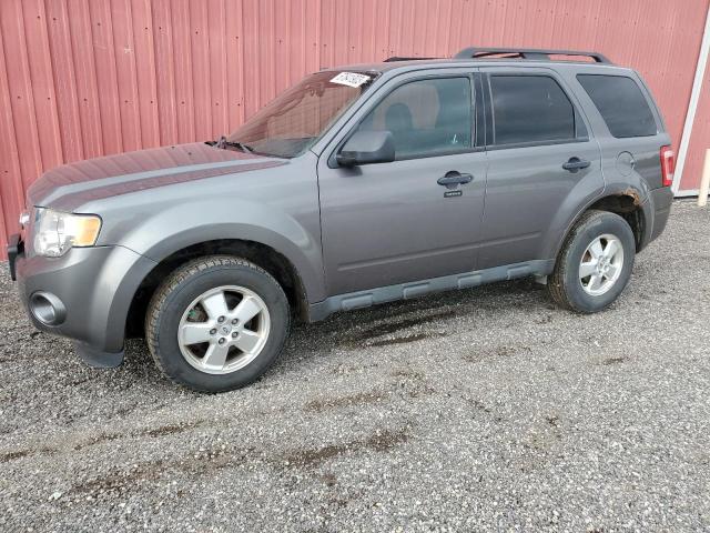 Ford Escape xlt (2011)