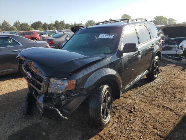 Ford Escape xlt (2011)