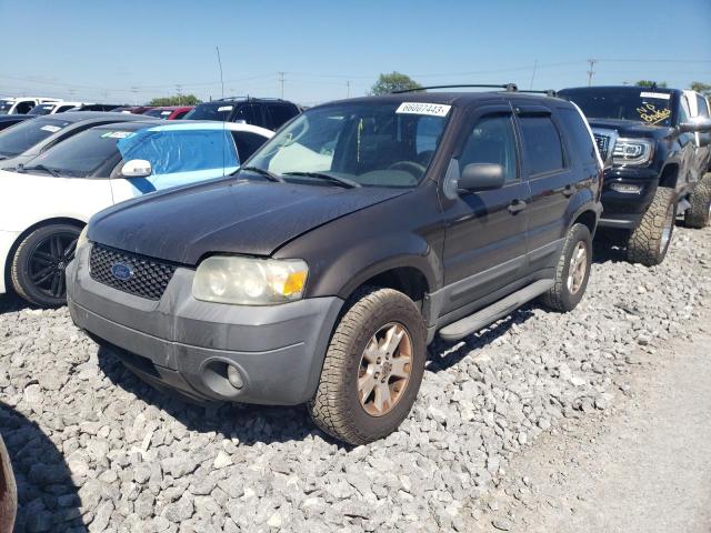 Ford Escape xlt (2007)