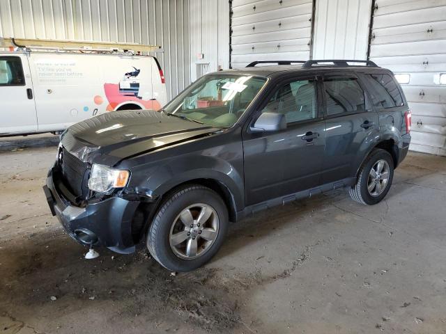 Ford Escape xlt (2009)
